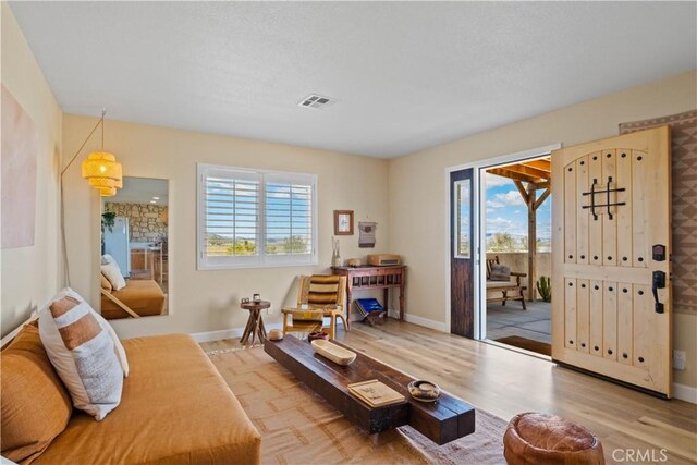 living room with a healthy amount of sunlight and light hardwood / wood-style floors