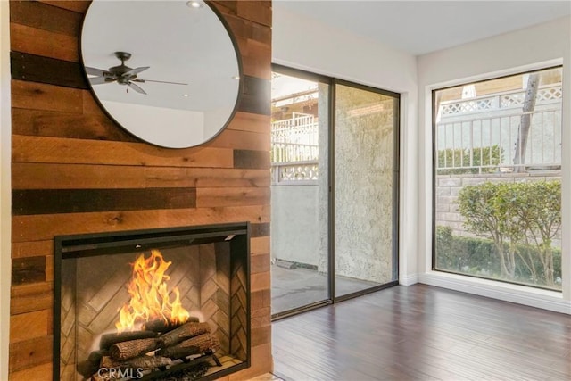 doorway with ceiling fan, a wealth of natural light, and dark hardwood / wood-style floors