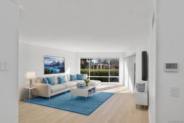 living room featuring hardwood / wood-style flooring