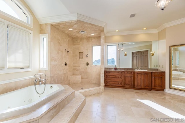 bathroom with ornamental molding, a healthy amount of sunlight, and vanity