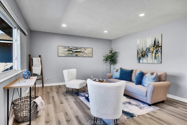 living room with light hardwood / wood-style flooring and a wealth of natural light