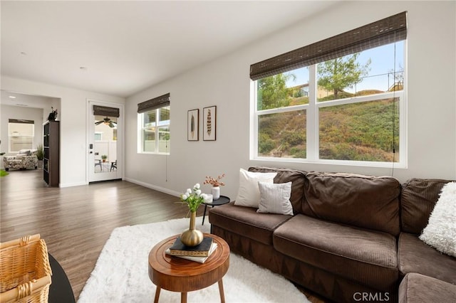 living room featuring dark wood-type flooring