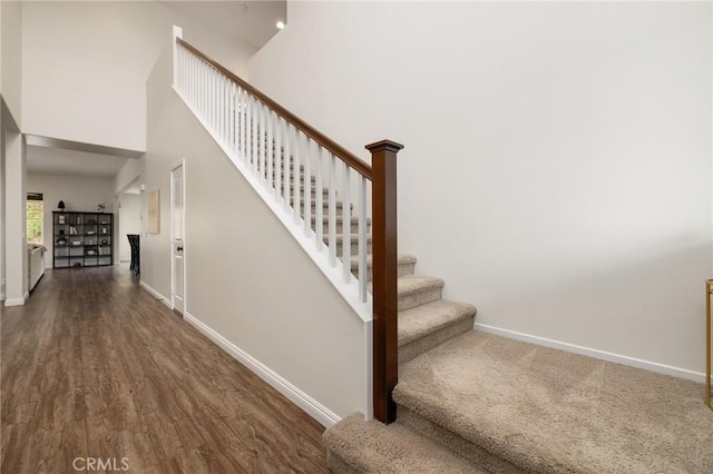 staircase with hardwood / wood-style flooring