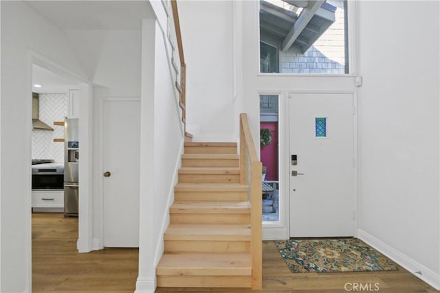 foyer entrance featuring wood-type flooring