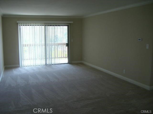 empty room with crown molding and carpet