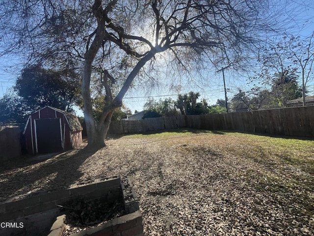 view of yard with a shed