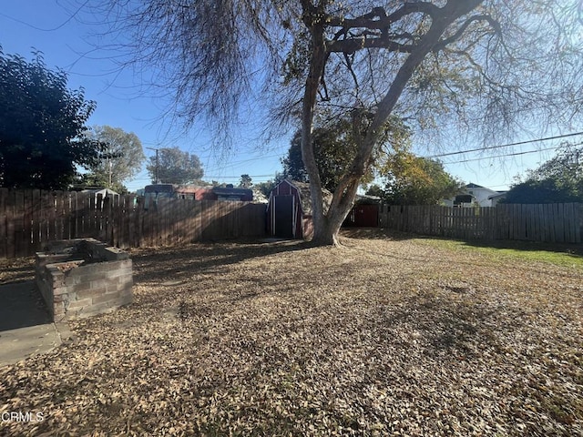 view of yard featuring a shed