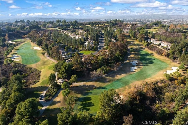 bird's eye view