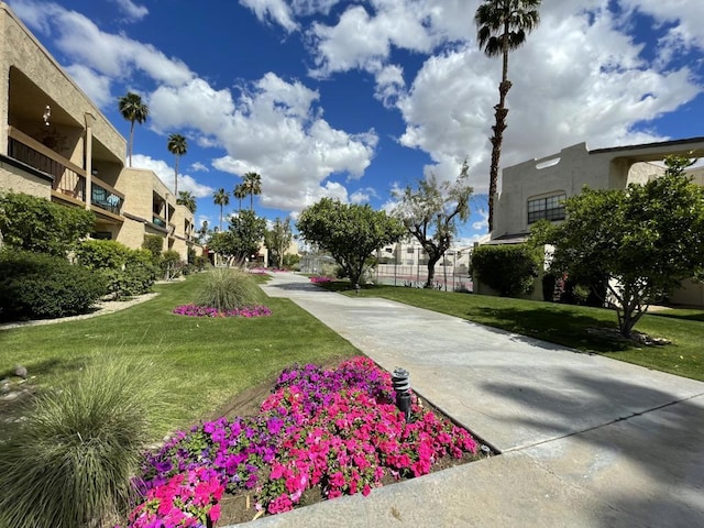 view of property's community featuring a lawn