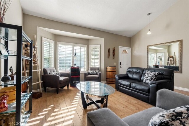 living room with lofted ceiling and wood-type flooring