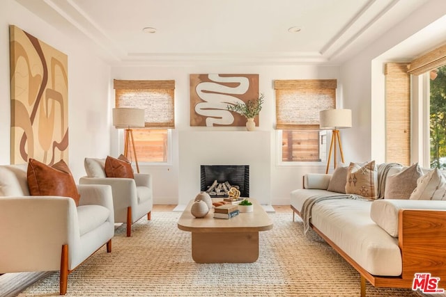 sitting room with light hardwood / wood-style flooring, plenty of natural light, and a tray ceiling