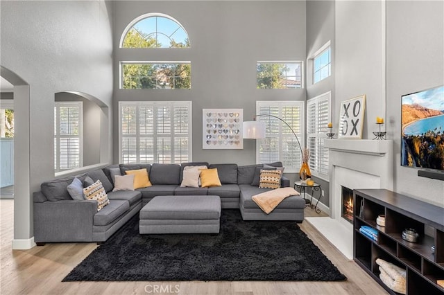 living room featuring a high ceiling, a wealth of natural light, and light hardwood / wood-style flooring