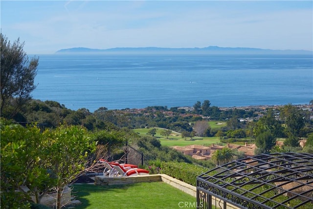 birds eye view of property with a water and mountain view