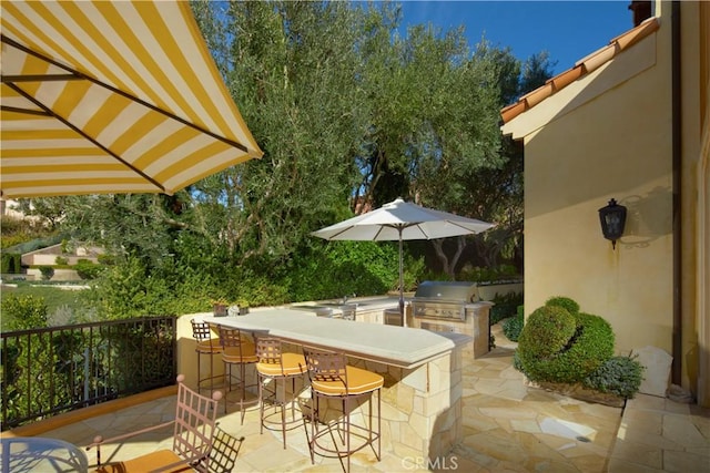 view of patio / terrace with an outdoor bar, grilling area, and area for grilling