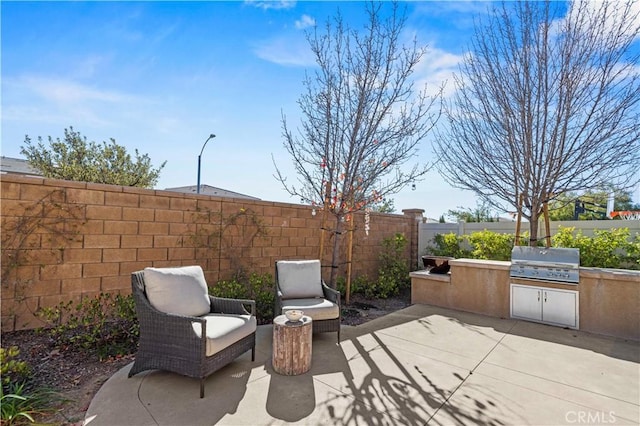 view of patio / terrace featuring exterior kitchen and grilling area