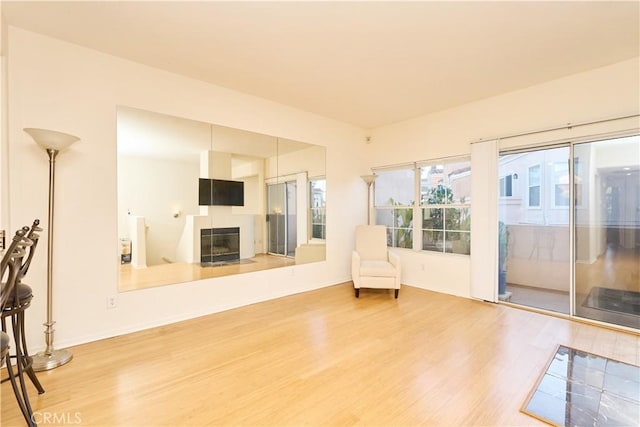 sitting room featuring wood-type flooring