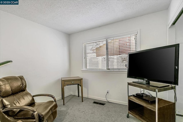 living area featuring a textured ceiling and light colored carpet