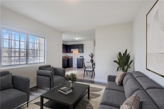 living room with light hardwood / wood-style floors