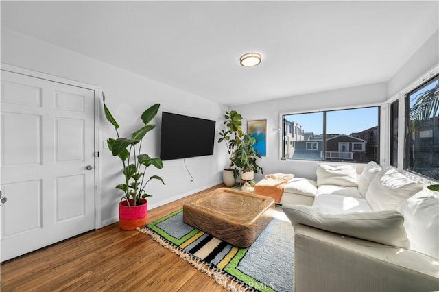 living room with hardwood / wood-style flooring