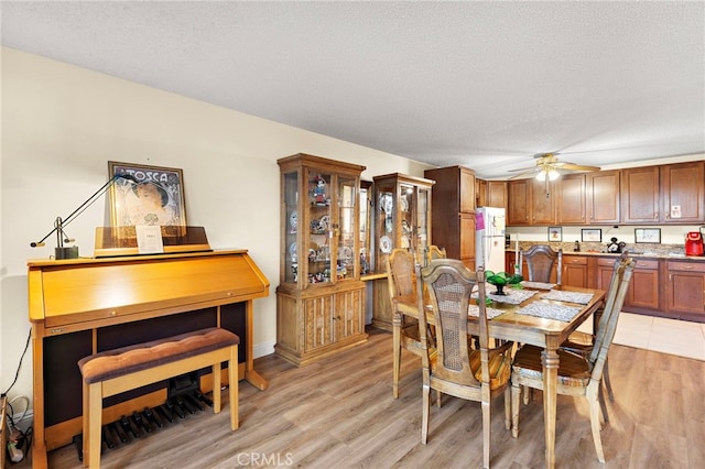 dining space featuring ceiling fan, light hardwood / wood-style floors, and a textured ceiling