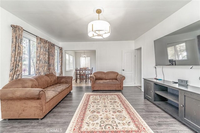 living room featuring a notable chandelier and dark hardwood / wood-style floors