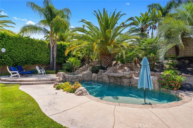 view of pool featuring a patio area