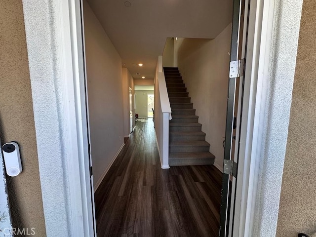 interior space featuring dark hardwood / wood-style flooring