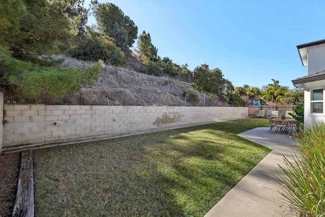 view of yard with a patio