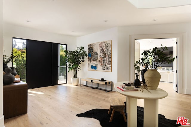 entryway with a wealth of natural light and light hardwood / wood-style flooring