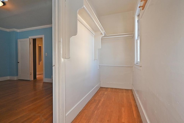 walk in closet with wood-type flooring