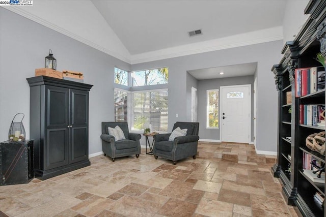 living area featuring high vaulted ceiling