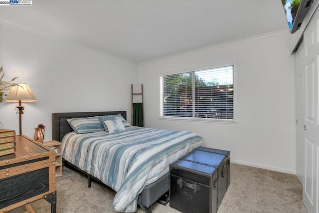 carpeted bedroom with ornamental molding and a closet