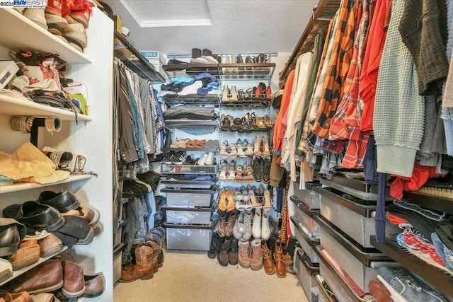 walk in closet featuring carpet