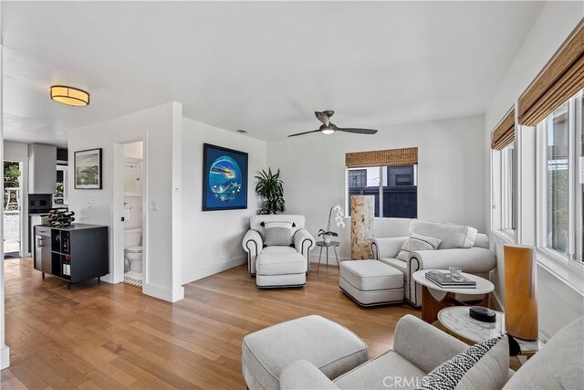 living room with ceiling fan and wood-type flooring