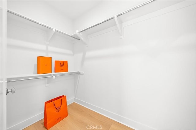 spacious closet with hardwood / wood-style flooring