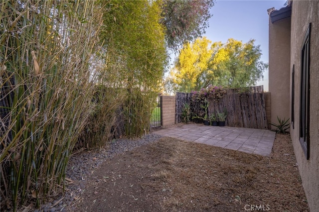 view of yard featuring a patio area