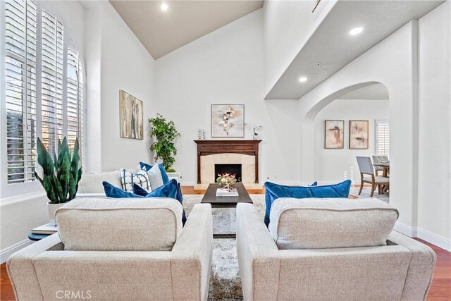 living room with wood-type flooring, a premium fireplace, and plenty of natural light