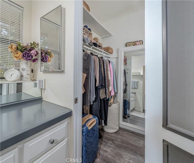 spacious closet with dark hardwood / wood-style flooring