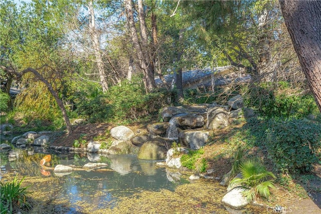 4900 E Chapman Ave Unit 24, Orange, CA 92869 - view of yard