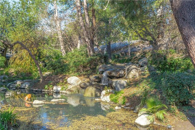4900 E Chapman Ave Unit 24, Orange, CA 92869 - view of yard