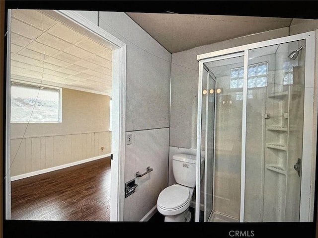 bathroom with toilet and hardwood / wood-style flooring