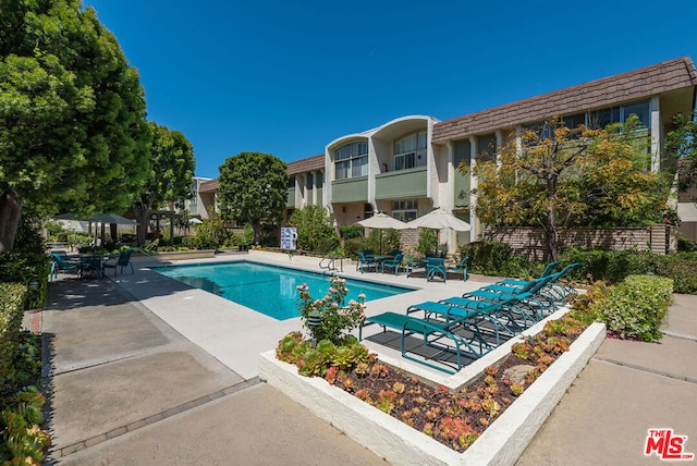 view of swimming pool with a patio area