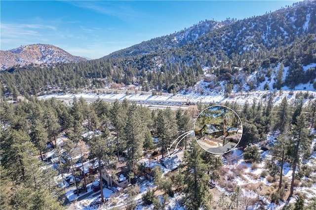 birds eye view of property featuring a mountain view