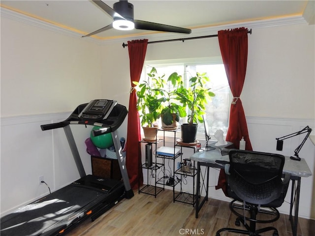 exercise room featuring hardwood / wood-style flooring and ornamental molding