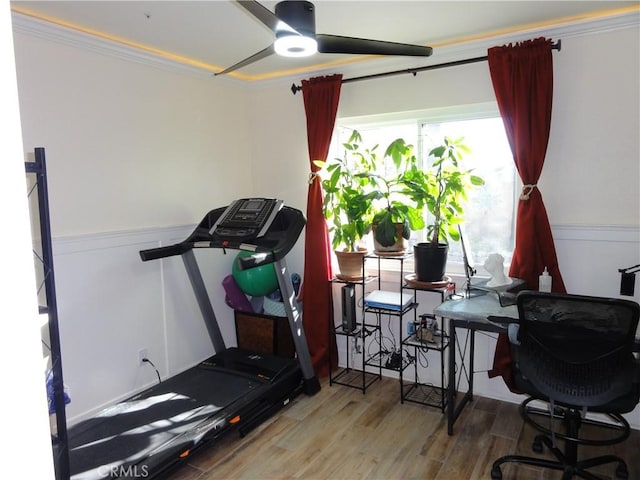 exercise area featuring ceiling fan, crown molding, and hardwood / wood-style flooring