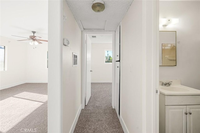 corridor featuring carpet floors, sink, and a textured ceiling