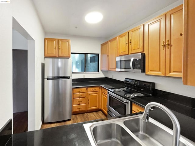 kitchen featuring stainless steel appliances, light hardwood / wood-style flooring, and sink