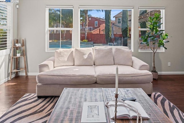 living room featuring dark wood-type flooring