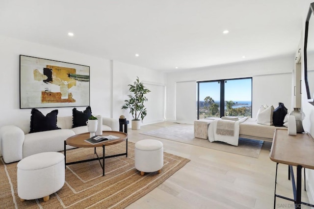 living room with light wood-type flooring