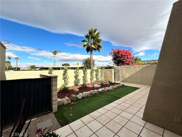 view of yard with a patio